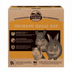 OXBOW - Orchard Grass Hay