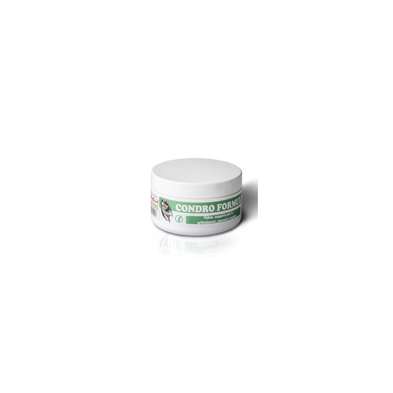 FEELING GOOD - Condro Formula