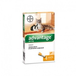 BAYER - Advantage...