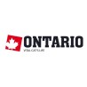 Ontario linea gatto